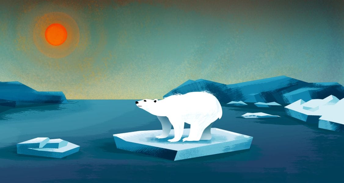 An illustration from the Earth's Changing Climate unit