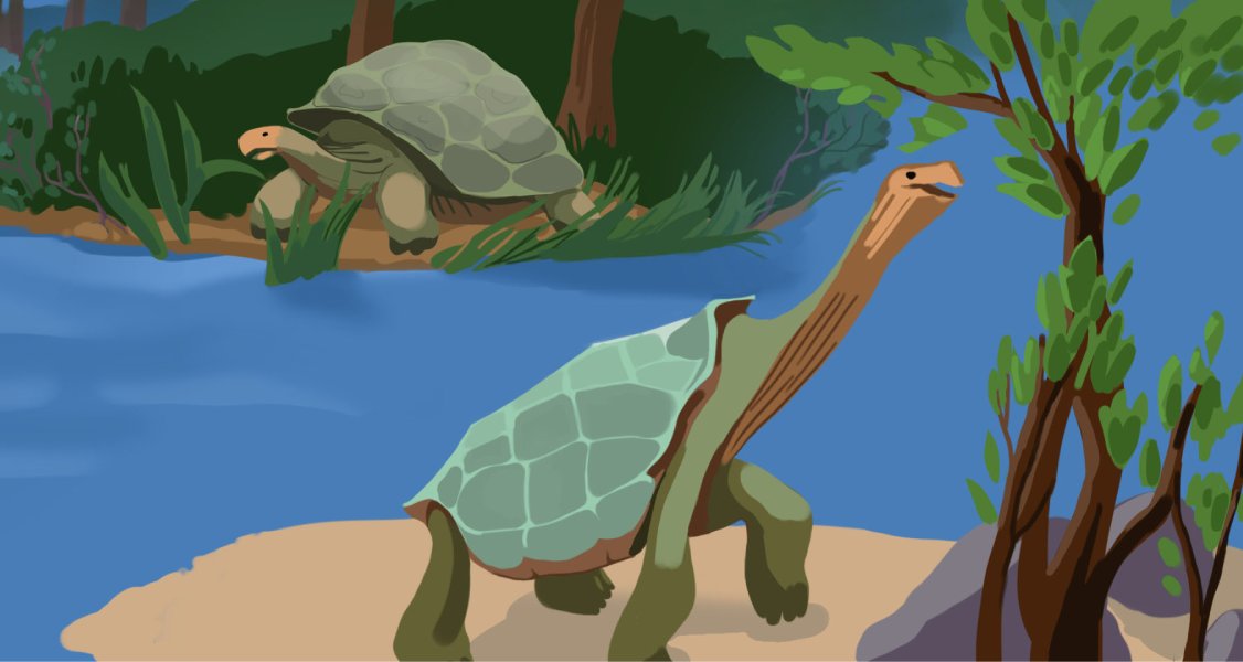 An illustration from the Evolutionary History unit