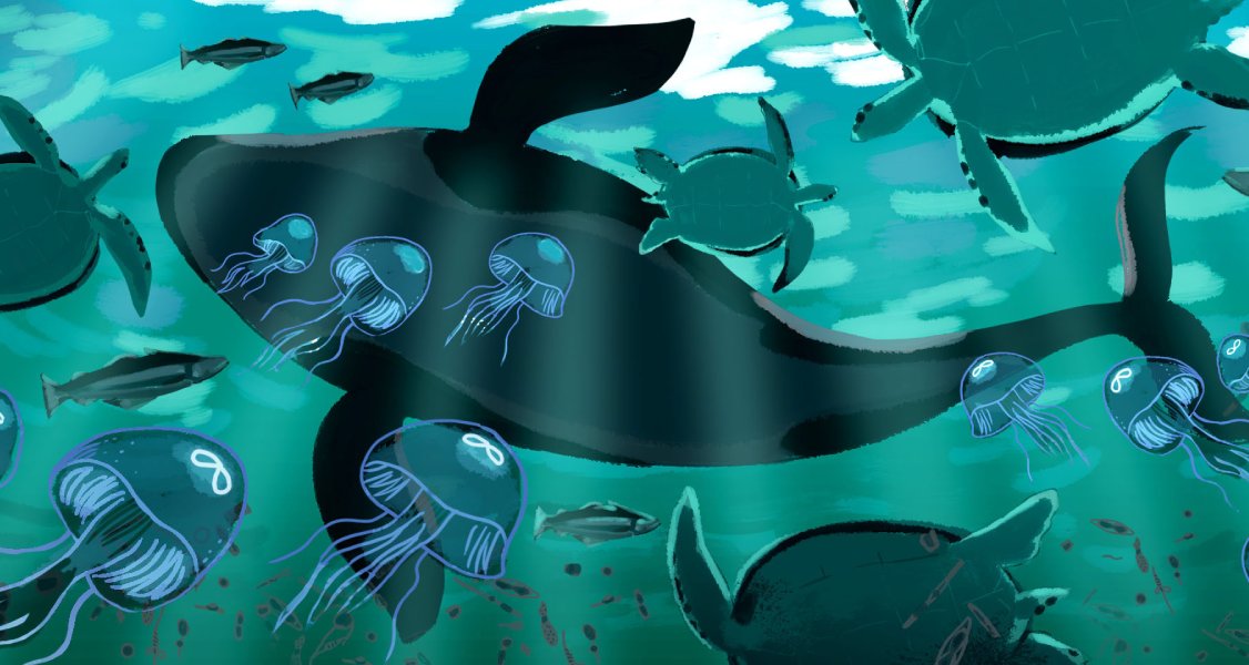 An illustration of a whale with jellyfish and turtles from Amplify Science