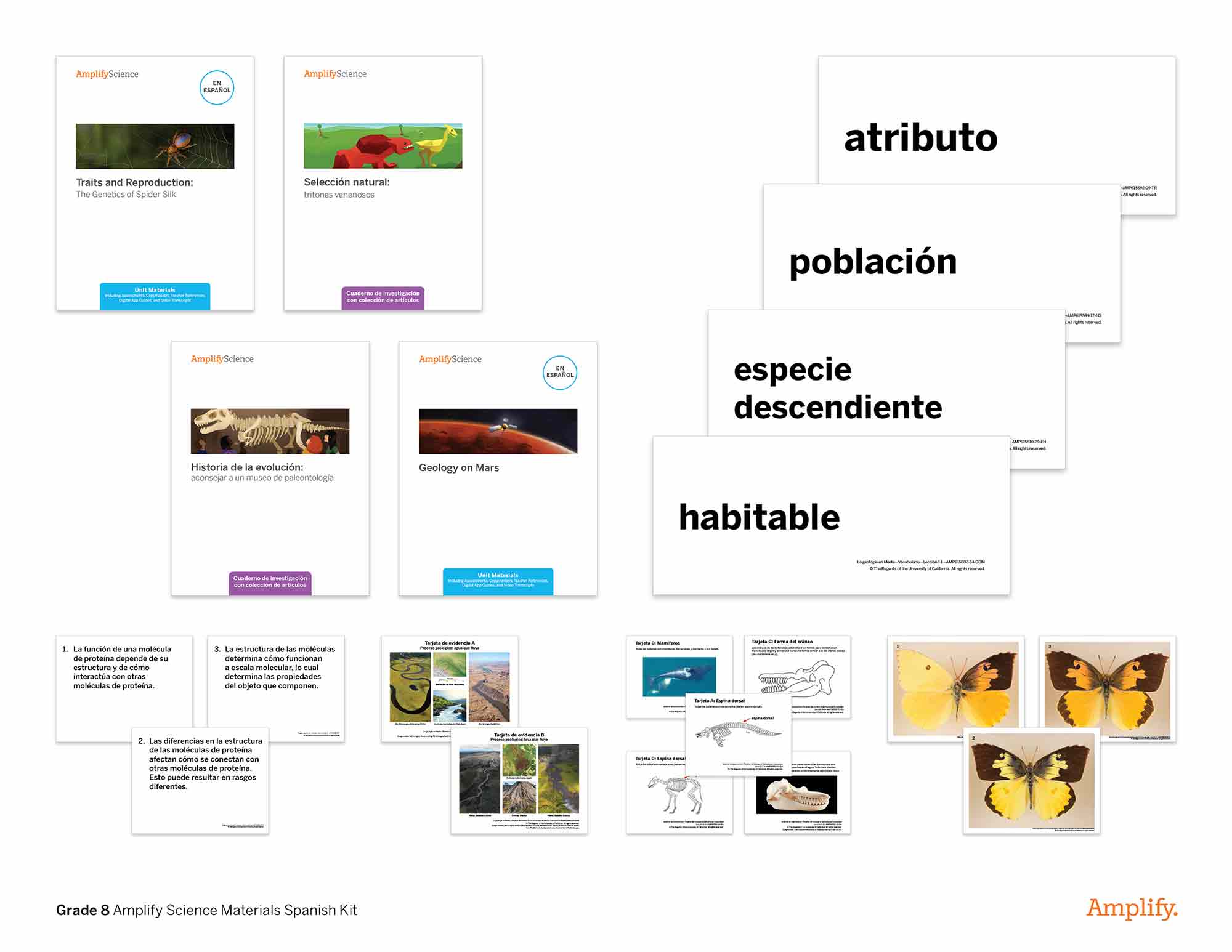 A visual array of educational materials from grade 8 amplify science spanish kit, featuring textbooks, worksheets, and illustrations related to biology and geology topics.