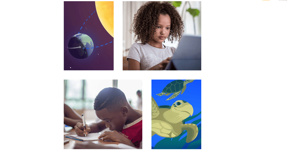 Four-panel collage: 1. space-themed graphic, 2. young girl using tablet, 3. two teens studying with books and pens, 4. illustration of a turtle in water.
