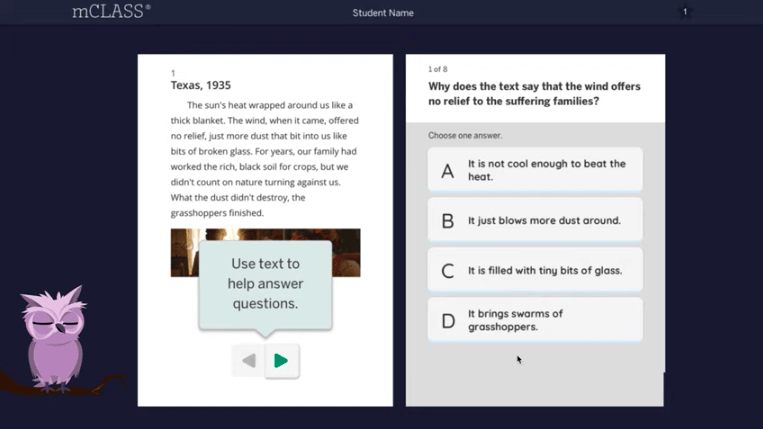 A digital educational assessment interface, displaying a reading comprehension test with a multiple-choice question, and a purple owl graphic.
