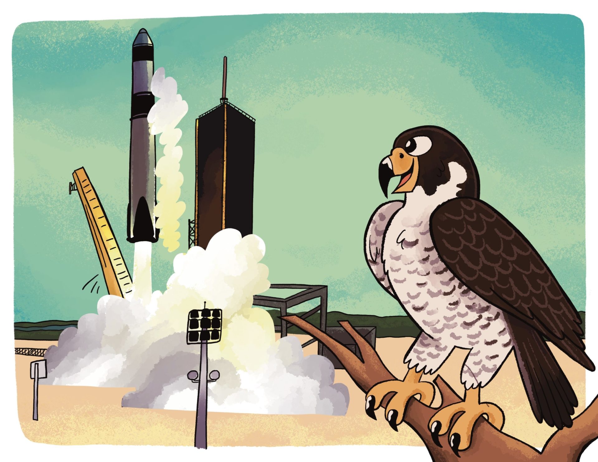 Illustration of a falcon perched on a branch, observing a rocket launch with a pencil and ruler in the background, set against a partly cloudy sky.