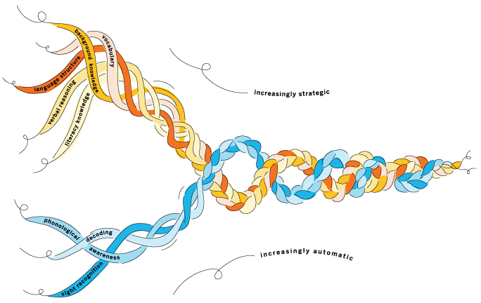 Illustration of a dna-like double helix with labeled segments representing stages of language and reading development, showing a transition from basic to strategic levels.