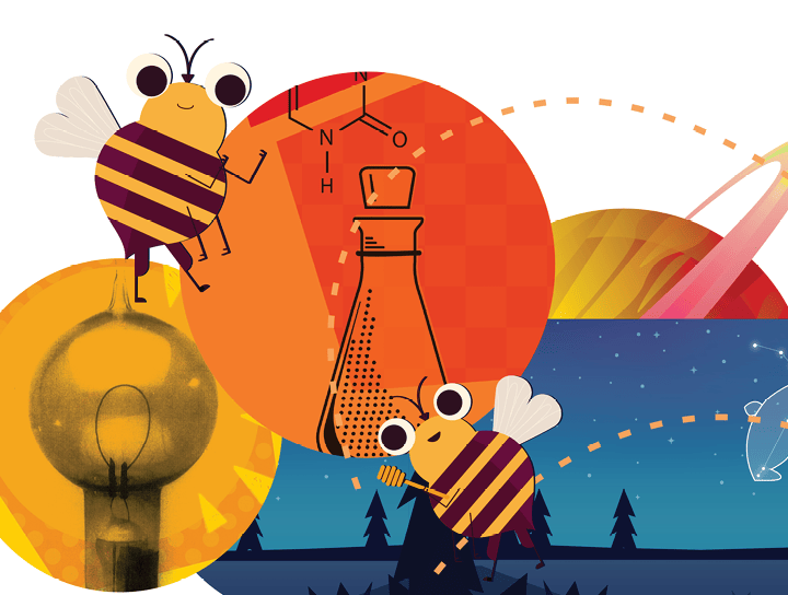 Illustration of two bees with various colorful abstract elements including a lightbulb, a salt shaker, and K-5 CKLA landscape scenes.