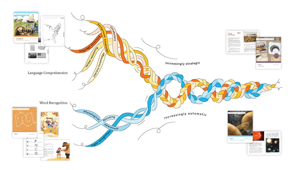 Illustration depicting the flow of genetic information, represented by ribbons transitioning from dna to rna, connected to various educational images and diagrams.