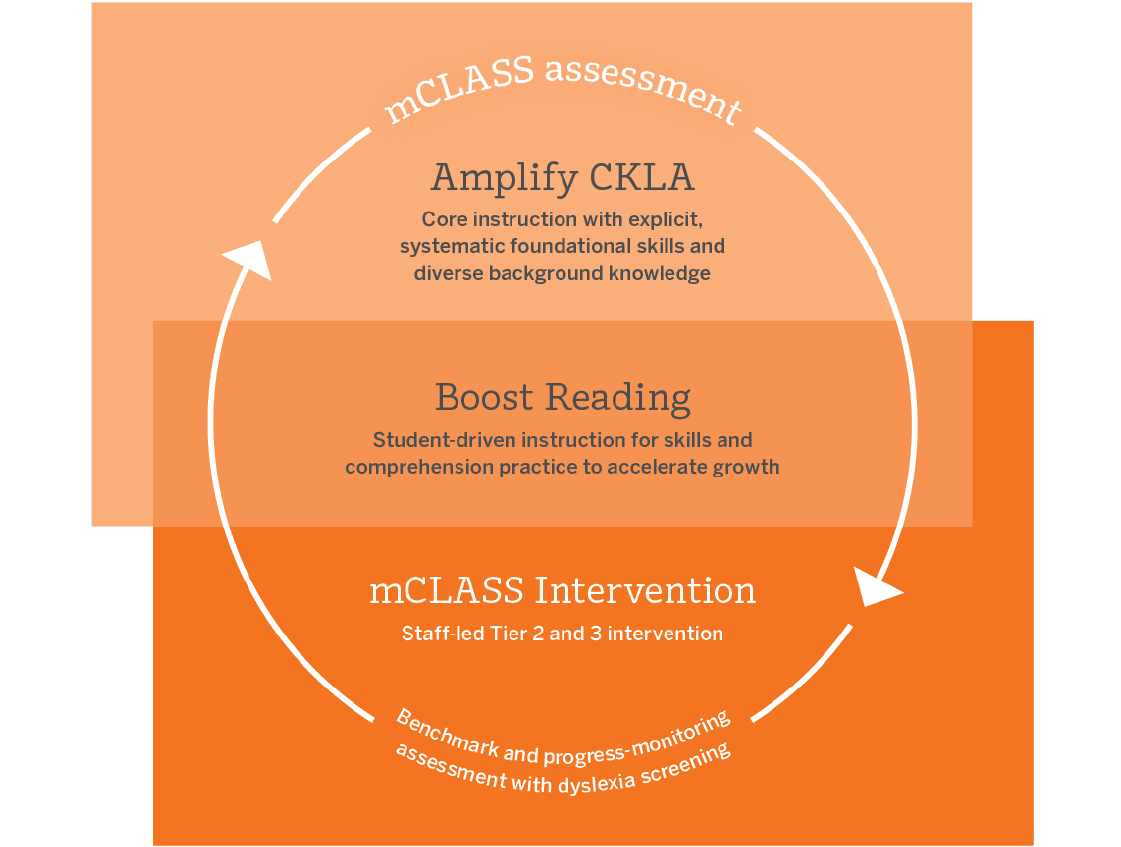 An educational diagram highlighting the mclass assessment process, showing arrows between amplify ckla science of reading curriculum, student-driven reading, mclass tier 2 intervention, and endpoint assessment.