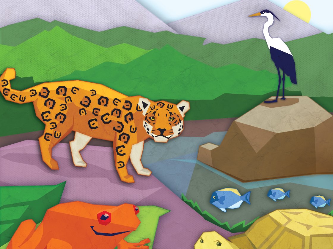 Colorful collage of a jungle scene featuring a jaguar, a crane, a frog, fish, and a tortoise, styled in geometric shapes.