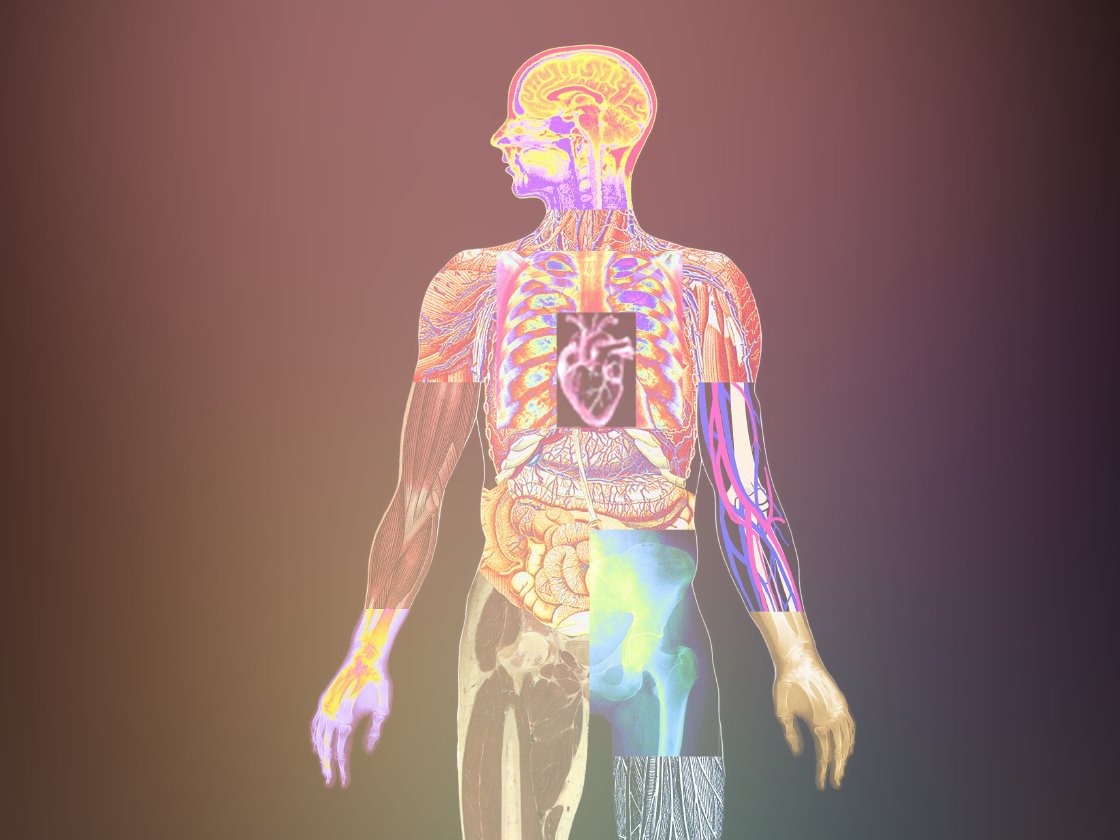 Illustration of a human anatomy highlighting internal organs and skeletal structure with a colorful, translucent overlay on a gradient background.