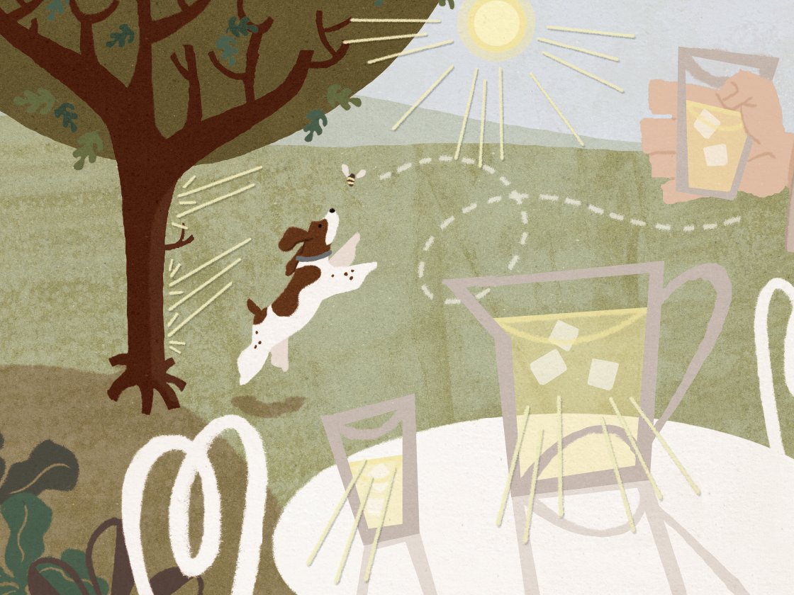 Illustration of a dog chasing a butterfly in a garden, viewed through a window with a glass of lemonade on the sill.