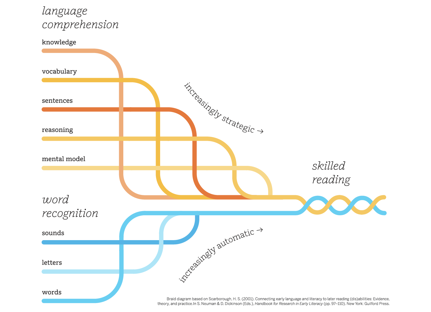 Diagram illustrating the development of skilled reading through the interaction of language comprehension (knowledge, vocabulary, sentences, reasoning, mental model) and word recognition (sounds, letters, words).