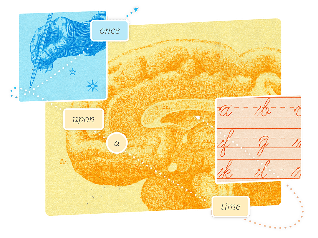 An illustration of a brain with overlays: a hand writing “once,” cursive letters on lined paper labeled “time,” and text boxes reading “upon” and “a”—reflecting concepts from online training for science of reading, arranged chronologically.