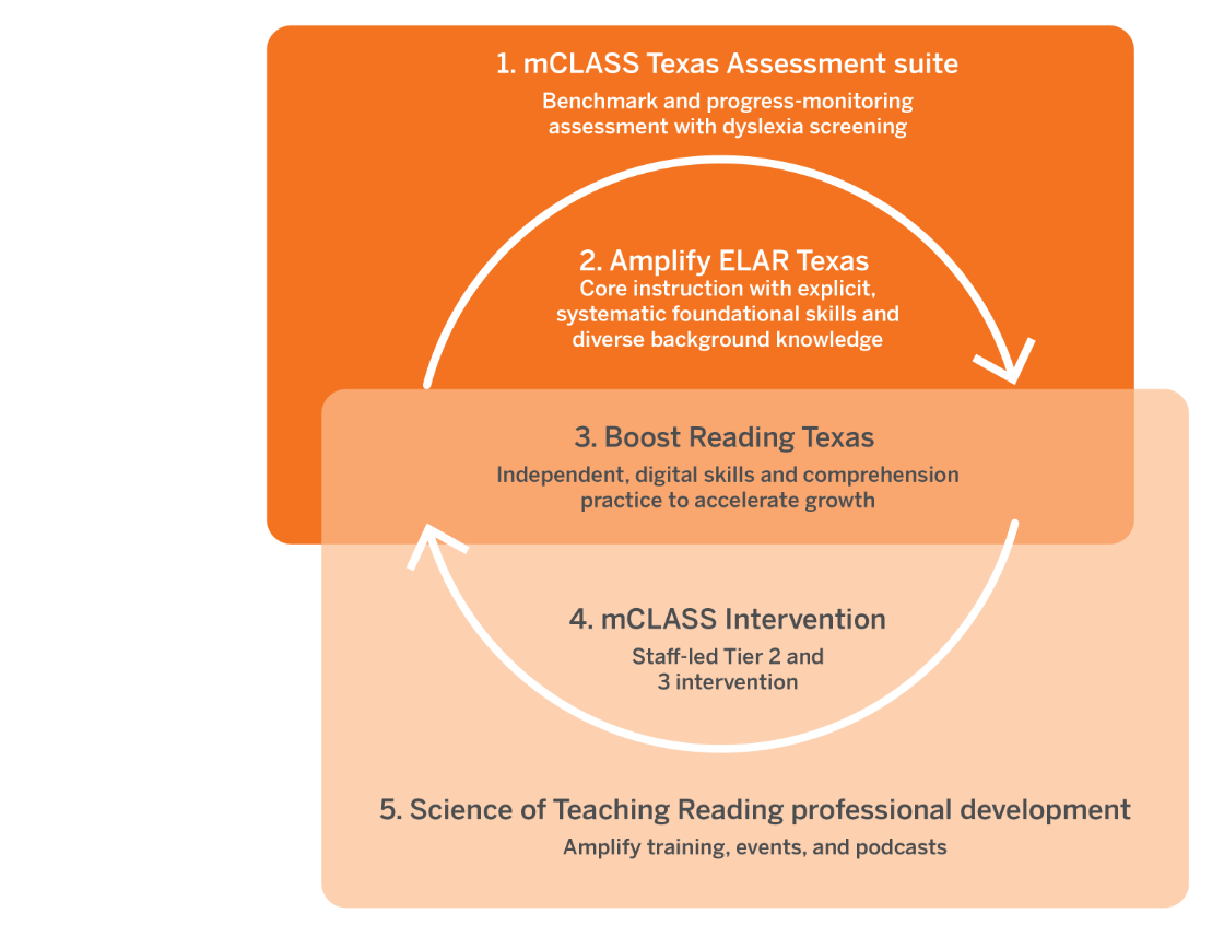 Flowchart showing five components of a reading program: assessment suite, core instruction, skill boosting, intervention, and professional development, arranged in sequential steps.